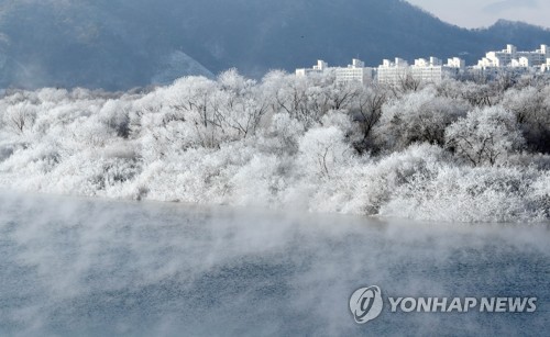 [#꿀잼여행] 강원권: 겨울철새 비상하는 물안개 겨울 왕국 '소양강 상고대'