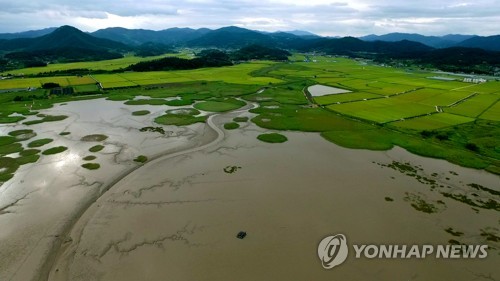 [2020전망] 봉오동·청산리전투 100주년…조선·동아도 창간 한 세기