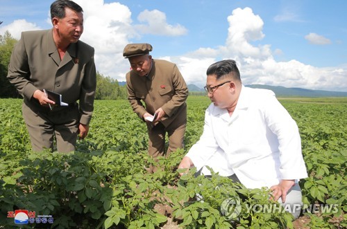 北, 산림녹화 '박차'…'녹색환경' 전담기구 설립