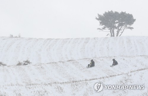 [#꿀잼여행] 제주권: 그 순수한 아름다움…순백의 세상 겨울왕국 된 한라산