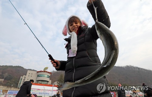 '안전한 축제위해' 화천산천어축제 일주일 연기…내달 11일 개막