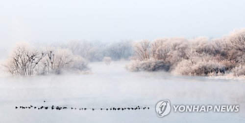 [#꿀잼여행] 강원권: 겨울철새 비상하는 물안개 겨울 왕국 '소양강 상고대'