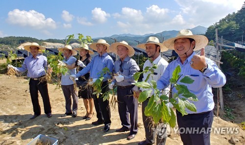 내년 금산인삼축제 10월 9∼18일 개최…새 콘텐츠 발굴