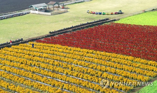 제주 방문 관광객 소비 비중 "서울 줄고 타지역 늘었다"