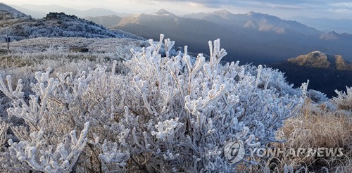 절기상 '대설' 쌀쌀한 날씨…관광지 축제장 붐벼