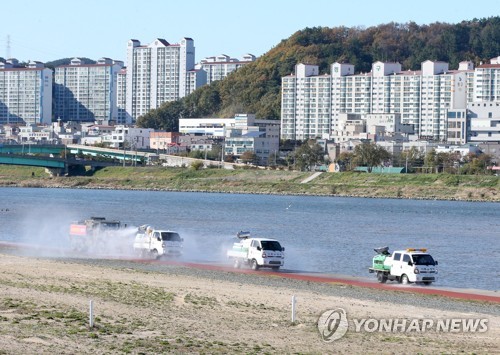 서울 양재천 야생조류 분변서 AI 항원 검출