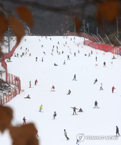 '은빛 정취'…코 시린 날씨에 전국 스키·축제장 인파로 북적