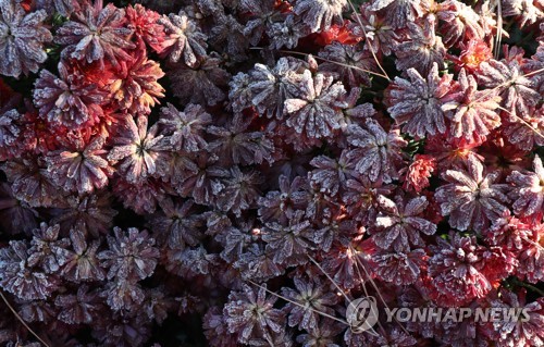 '출근길 조심 운전'…강원 아침추위에 도로 결빙 주의