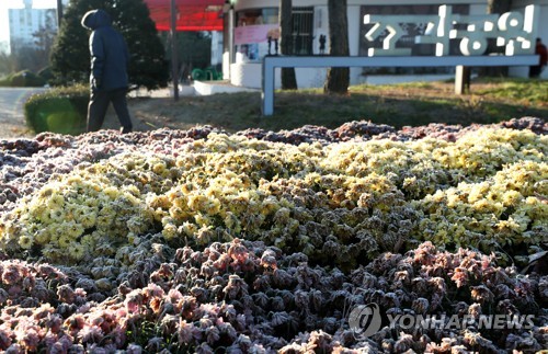 강원 평창 면온 영하 7도…낮부터 기온 올라