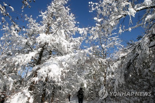 "도로 결빙 조심하세요" 강원 산지·내륙 비 또는 눈