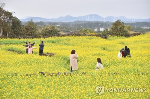 제주 방문 관광객 소비 비중 "서울 줄고 타지역 늘었다"