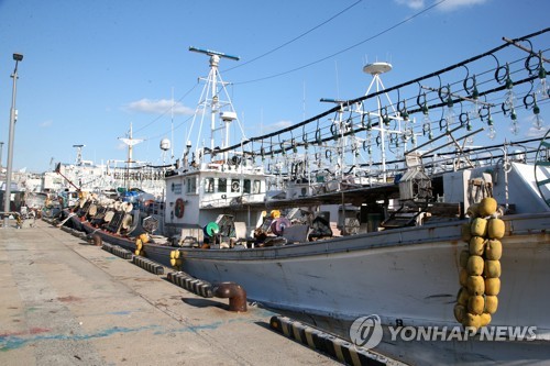 [르포] 제철 돌아왔는데…오징어·꽁치 흉년 어민들 울상