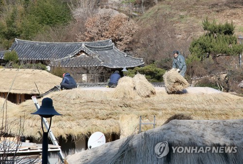 경주 양동마을 초가 새단장…내년 1월까지 볏짚 이엉 교체
