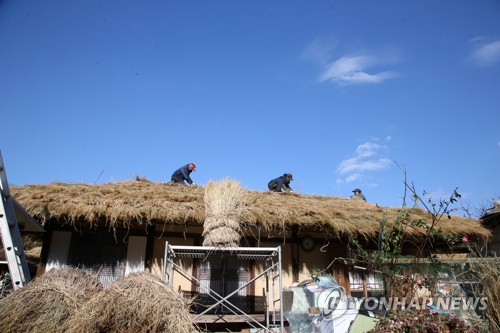 경주 양동마을 초가 새단장…내년 1월까지 볏짚 이엉 교체