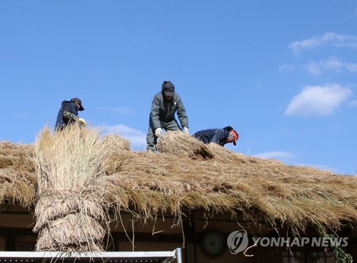 경주 양동마을 초가 새단장…내년 1월까지 볏짚 이엉 교체