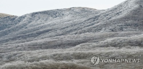 '세밑 추위' 제주 산지 한파주의보…1∼5㎝ 눈 예보도