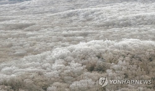 절기상 '대설' 쌀쌀한 날씨…관광지 축제장 붐벼