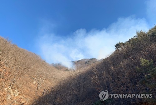 춘천 주택 화재 산불로 번져…1명 숨지고 산림 0.5㏊ 소실(종합)