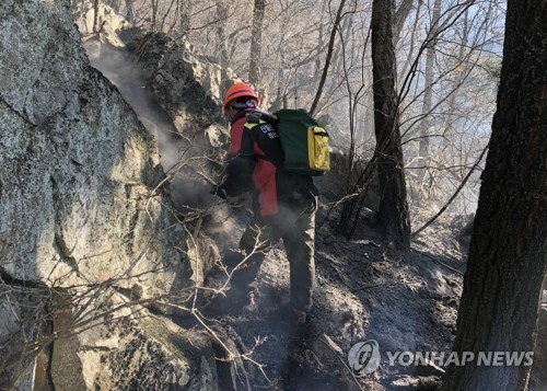 정선 백석산 산불 주불진화 완료…국유림 2㏊ 소실 추정(종합2보)