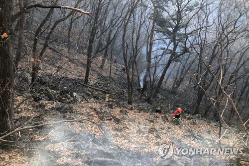 정선 백석산 산불 주불진화 완료…국유림 2㏊ 소실 추정(종합2보)