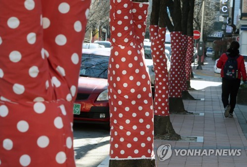 강원 양구 영하 11.4도 '쌀쌀'…낮부터 기온 올라 '포근'