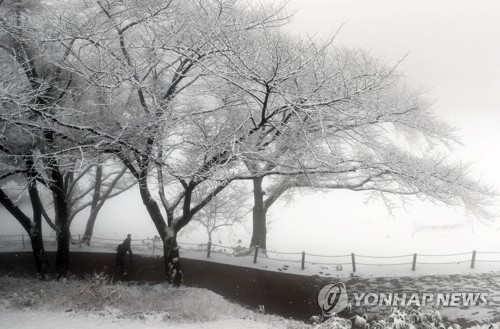 충북 중·북부 지역에 눈 '펑펑'…괴산 5.1㎝