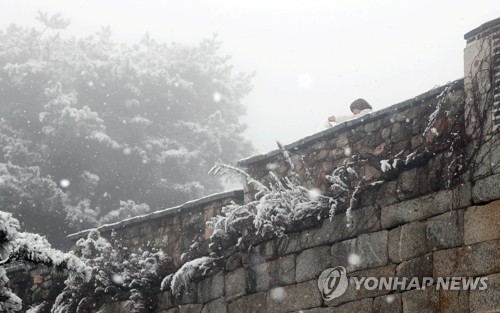 충북 중·북부 지역에 눈 '펑펑'…괴산 5.1㎝