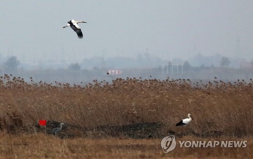 [내일날씨] 평년보다 기온 높아…전국 미세먼지 '보통'