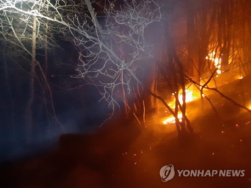 '영남알프스' 울산 간월산서 화재…"완진까지 시간 걸릴 듯"(종합)