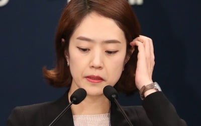 靑 "숨진 수사관 고래고기 때문에 울산 방문…하명수사 지시한 바 없다"