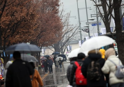 [오늘 날씨] 전국 곳곳에 겨울비…미끄러운 노면·가시거리 짧아 운전 주의