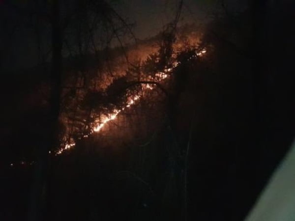 강원 정선군 북평면 나전리 백석산에서 발생한 산불 진화작업이 12일 오전 재개됐다. 동부지방산림청 등 산림당국과 소방당국은 오전 7시께 공중진화대 등 진화인력 110여명과 산림청 소속 4대 등 헬기 7대를 산불 현장에 투입했다/사진=연합뉴스