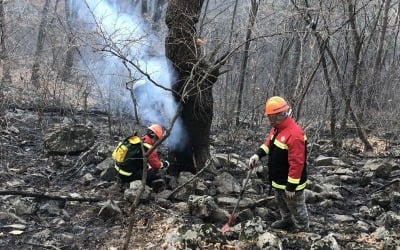 정선 카지노사이트, 15시간만에 주불진화 완료…2㏊ 태웠다