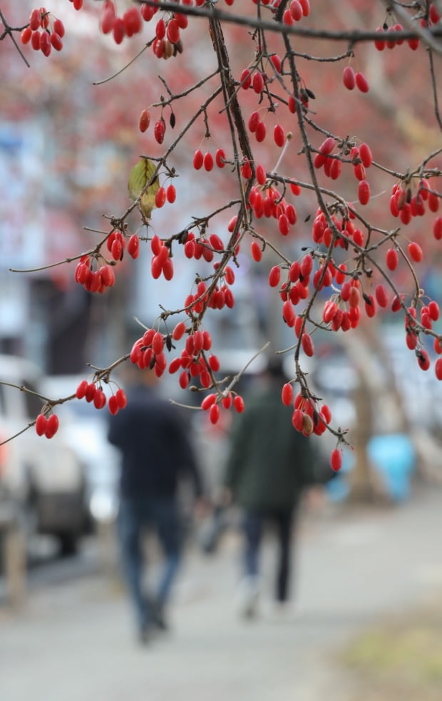 날씨 / 사진=연합뉴스