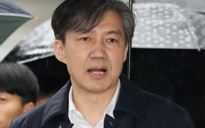 [속보] 조국 "검찰 영장심사 내용 동의 못해"