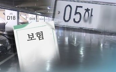 "렌터카 수리비 개선하고 LED마스크 안전기준 마련"