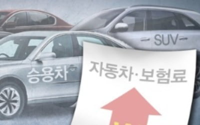 손보사, 내년 車보험료 5%대 인상 추진