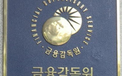 금감원, 금투회사에 '리스크관리·내부통제 강화' 당부