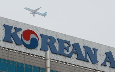 대한항공, 한국인 동성부부 '가족' 인정…"마일리지합산 가능"