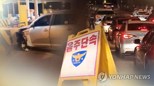 연말 음주운전 집중단속…유흥가·유원지 등 밤낮없이 적발