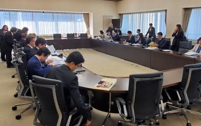 '日 수출규제 논의' 도쿄 韓日 국장급 정책대화 시작