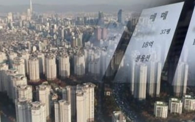 [12·16대책] 또나온 부동산대책…규제 효과없자 초고강도 처방