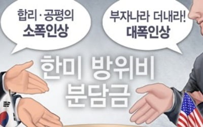 "韓국민 한미동맹 지지하지만 美방위비 분담요구엔 부정적"