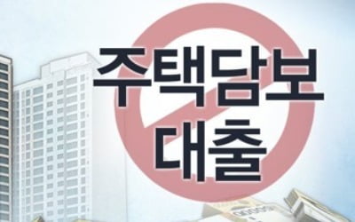 "집계약 했는데 대출 막히나요"…규제 첫날 은행 문의 이어져