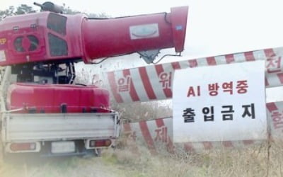 조류인플루엔자 예방 취약지역 방역 강화…16개 시·군 점검