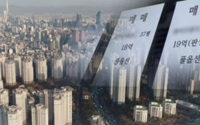 1월 중순께부터 전세대출자 9억원 넘는 주택 사면 대출 회수