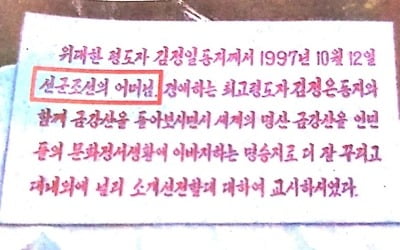 "北 금강산에 '김정은母' 고영희 신격화 비석 세워져"[산케이]