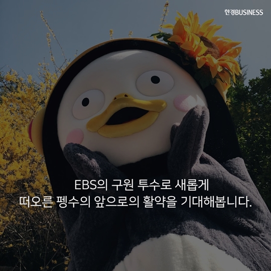 [카드뉴스] 펭수는 어떻게 EBS를 살렸나