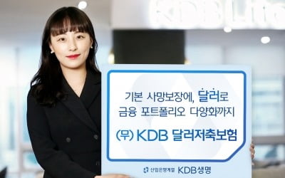 KDB생명, '(무)KDB 달러저축보험' 출시