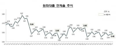 11월 은행 '가계 대출' 연체율 0.48%